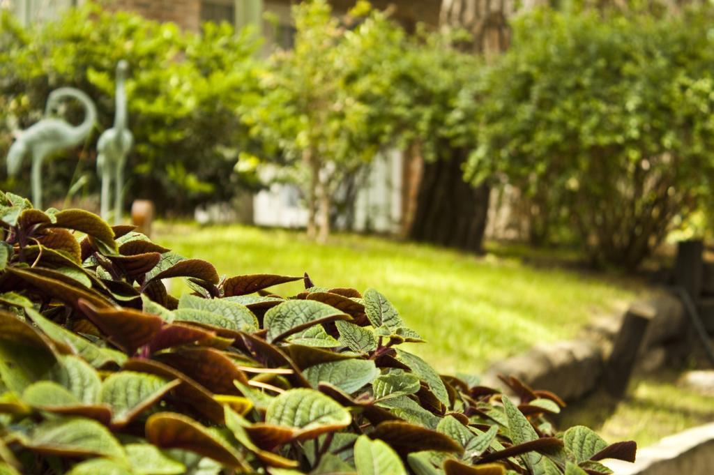 Carilo Village Apart Hotel & Spa 외부 사진
