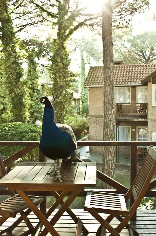 Carilo Village Apart Hotel & Spa 객실 사진